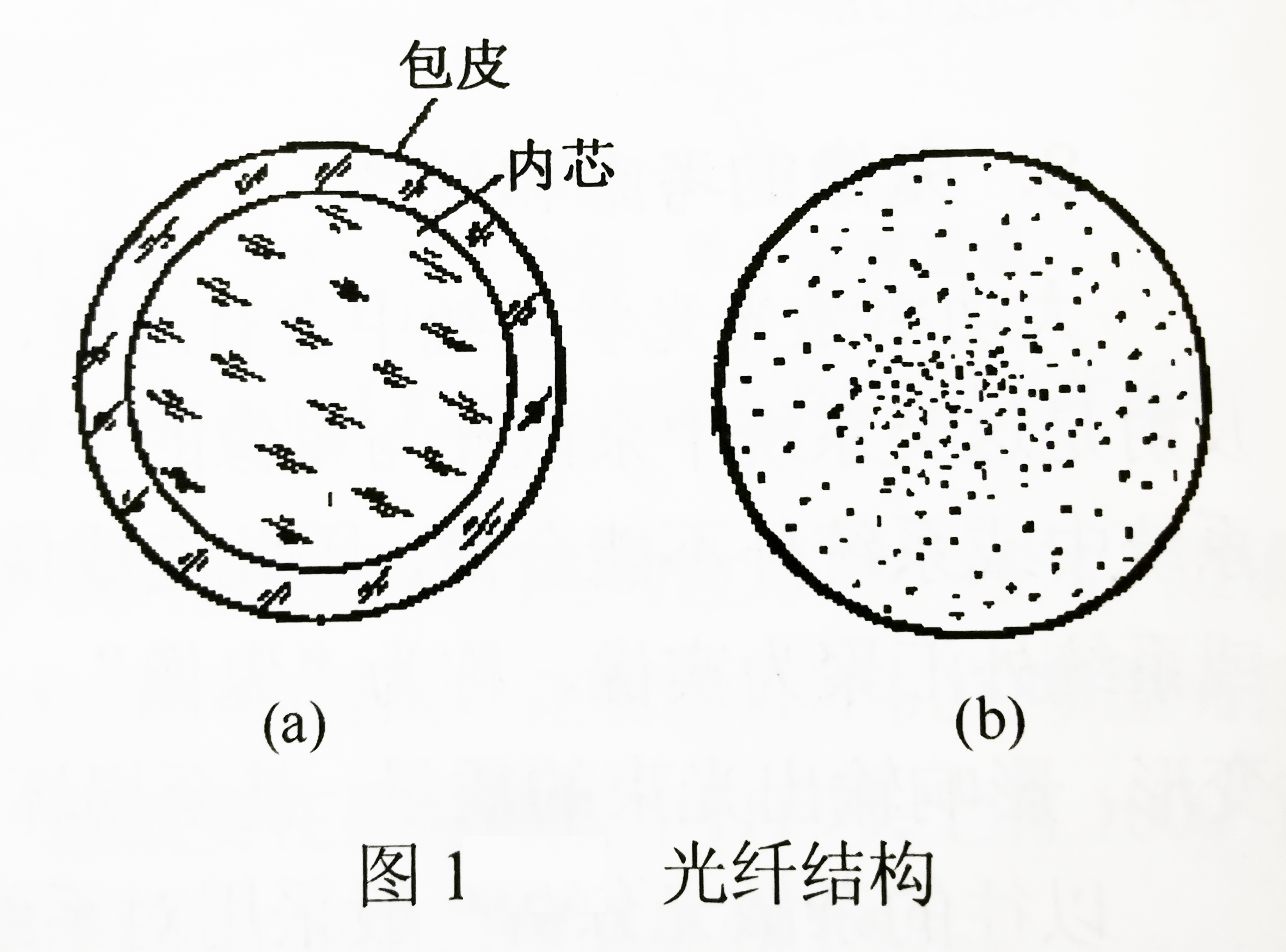 光纤结构.jpg