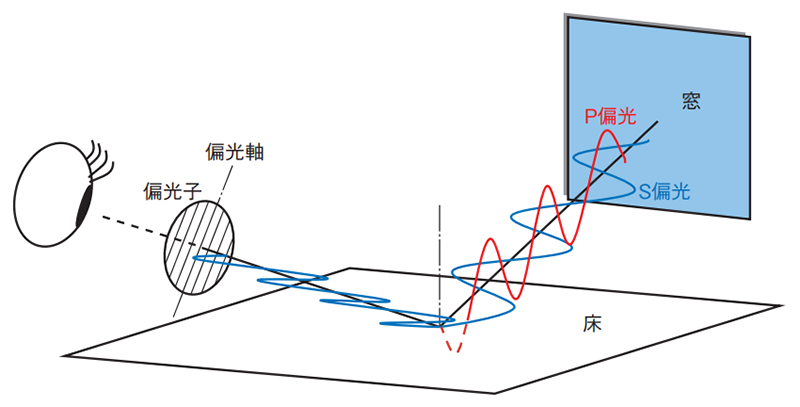 偏光镜的偏光轴的确认方法